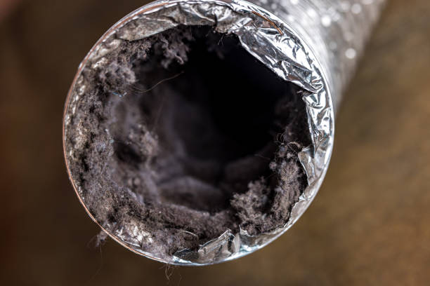 Best Best Air Duct Cleaning Company  in Triana, AL