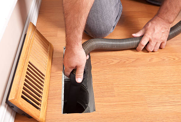Best Air Duct Mold Removal  in Triana, AL
