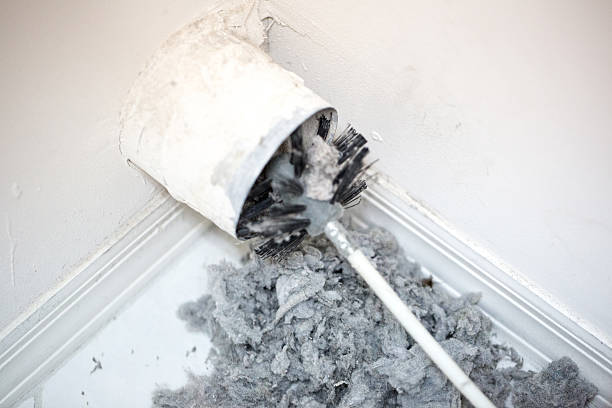 Best Local Air Duct Cleaning Services  in Triana, AL