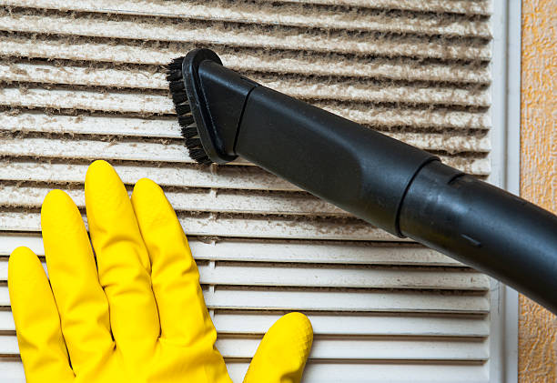 Best Best Air Duct Cleaning Company  in Triana, AL